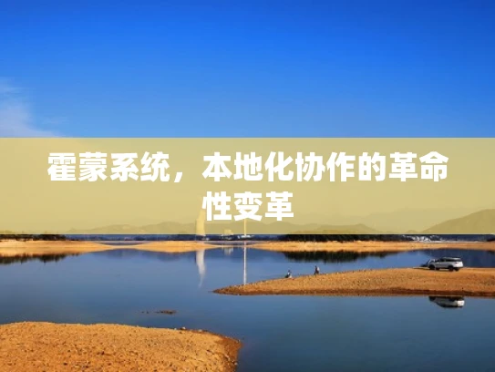 霍蒙系统，本地化协作的革命性变革