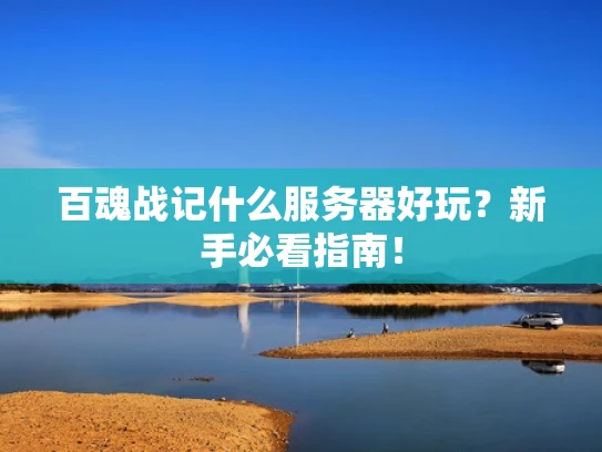百魂战记什么服务器好玩？新手必看指南！