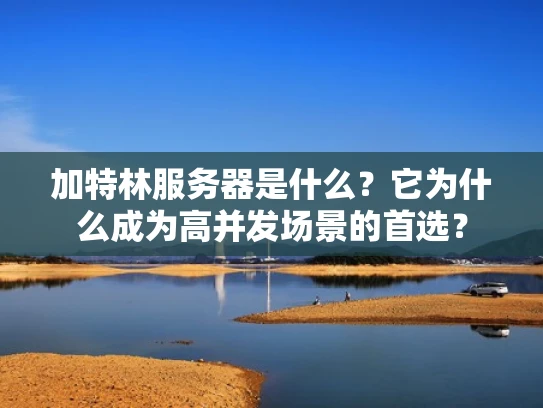 加特林服务器是什么？它为什么成为高并发场景的首选？