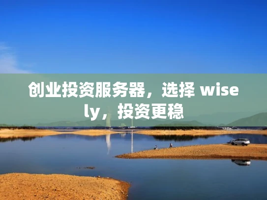创业投资服务器，选择 wisely，投资更稳