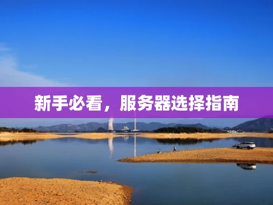 新手必看，服务器选择指南