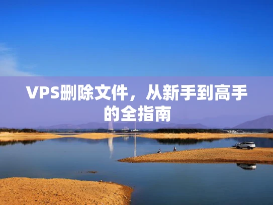 VPS删除文件，从新手到高手的全指南