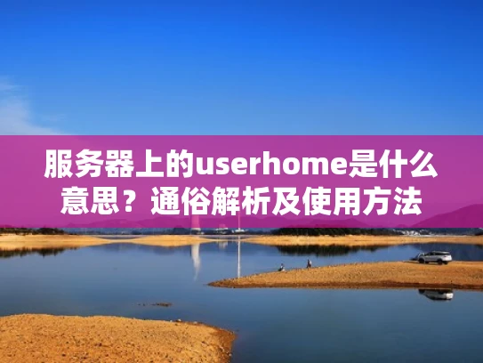 服务器上的userhome是什么意思？通俗解析及使用方法