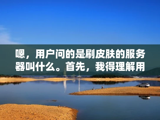 嗯，用户问的是刷皮肤的服务器叫什么。首先，我得理解用户的问题。刷皮肤通常指的是游戏中的皮肤获取，而服务器是游戏运行的后台系统。所以，用户可能是在询问游戏皮肤获取的服务器类型