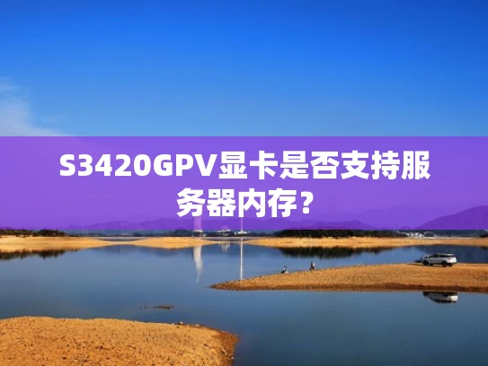 S3420GPV显卡是否支持服务器内存？