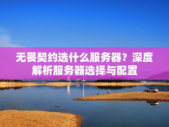 无畏契约选什么服务器？深度解析服务器选择与配置
