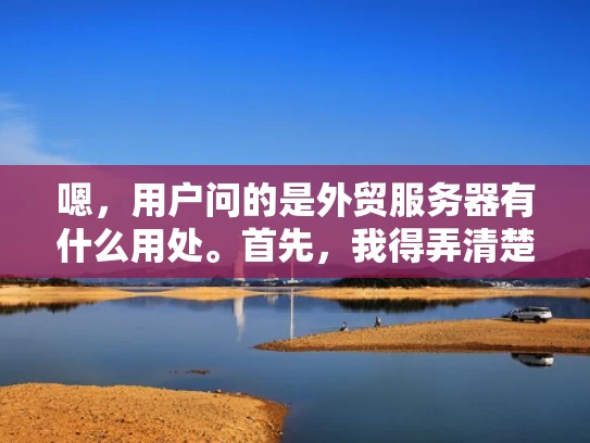 嗯，用户问的是外贸服务器有什么用处。首先，我得弄清楚外贸服务器是什么，以及它在外贸业务中的作用。外贸服务器通常指的是用于外贸业务的服务器，可能包括虚拟服务器、物理服务器，或者是云服务器