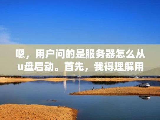 嗯，用户问的是服务器怎么从u盘启动。首先，我得理解用户的需求。他可能是一个刚接触服务器的人，或者是在处理服务器问题时遇到了需要从U盘启动的情况，比如修复系统或者进行系统升级