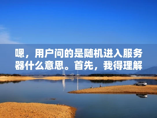 嗯，用户问的是随机进入服务器什么意思。首先，我得理解这个问题。用户可能在网络安全或者服务器管理方面遇到了问题，所以想了解随机进入这个术语的具体含义