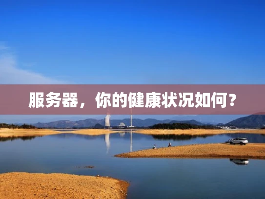 服务器，你的健康状况如何？