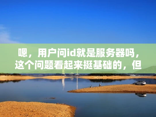 嗯，用户问id就是服务器吗，这个问题看起来挺基础的，但作为专业的网络安全人员，我得仔细分析一下，确保回答全面且准确
