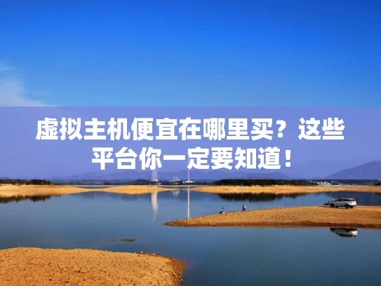 虚拟主机便宜在哪里买？这些平台你一定要知道！