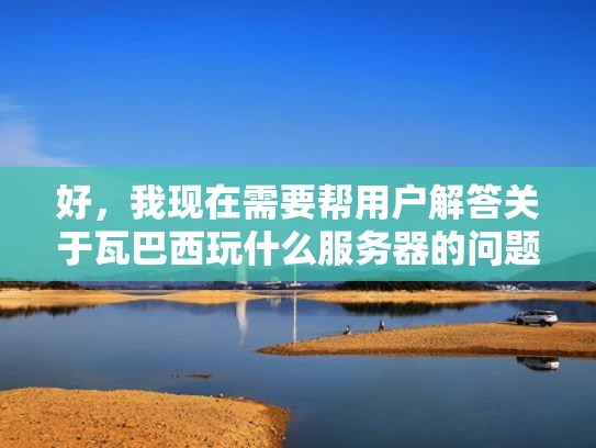 好，我现在需要帮用户解答关于瓦巴西玩什么服务器的问题。用户是专业网络安全人员，希望用知乎风格，结合专业知识，用大白话写一篇1000字左右的文章，还要符合SEO优化，突出关键词