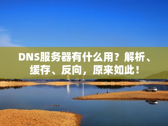 DNS服务器有什么用？解析、缓存、反向，原来如此！