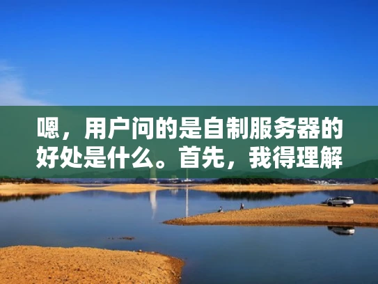 嗯，用户问的是自制服务器的好处是什么。首先，我得理解用户的需求。他可能是一个刚开始接触服务器的人，或者是一个企业主考虑自建服务器。不管怎样，用户想要的是自制服务器的优缺点，特别是好处部分
