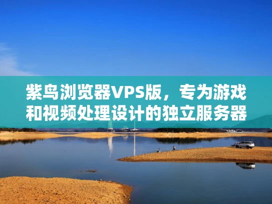 紫鸟浏览器VPS版，专为游戏和视频处理设计的独立服务器