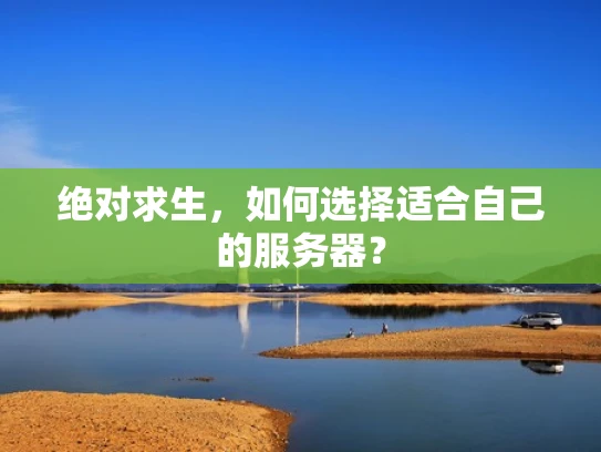 绝对求生，如何选择适合自己的服务器？