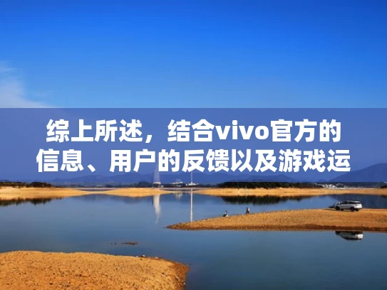 综上所述，结合vivo官方的信息、用户的反馈以及游戏运行的实际情况，可以得出结论，黑鲨2 Pro使用的是本地服务器。这种配置不仅提升了游戏体验，也符合用户对高性能游戏手机的需求