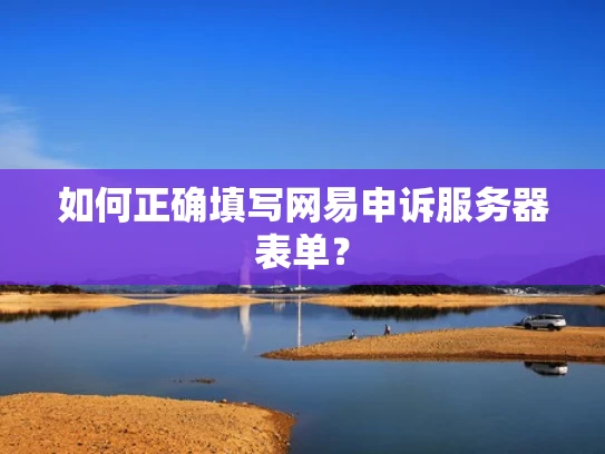 如何正确填写网易申诉服务器表单？