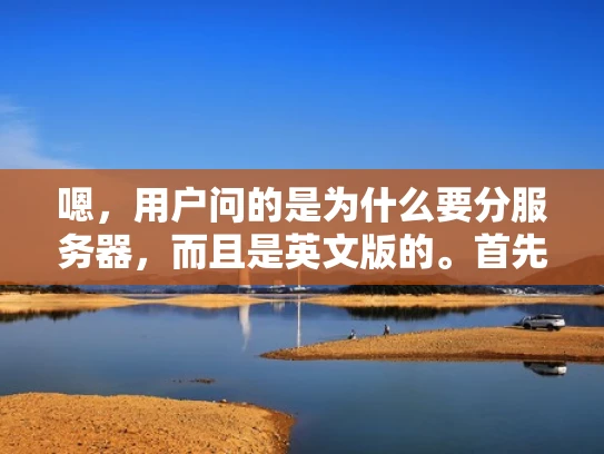 嗯，用户问的是为什么要分服务器，而且是英文版的。首先，我得理解用户的需求。可能他是个刚开始学习计算机科学的学生，或者是一个刚开始接触网络部署的人。他可能在学习服务器分部署，想了解背后的原因和好处