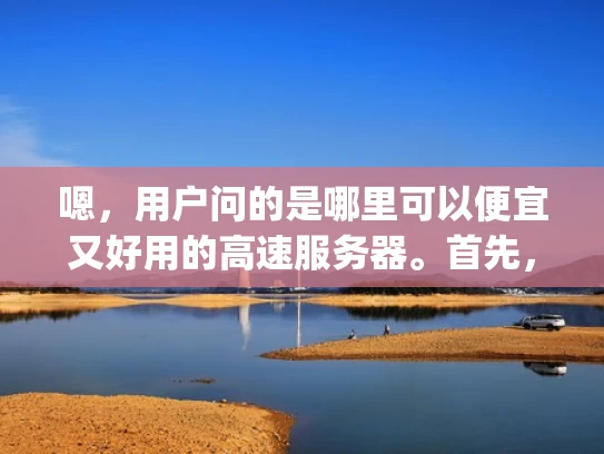 嗯，用户问的是哪里可以便宜又好用的高速服务器。首先，我得考虑用户的需求。他们可能是一个小企业主或者个人开发者，需要 hosting 服务，但预算有限，所以想找到性价比高的选项