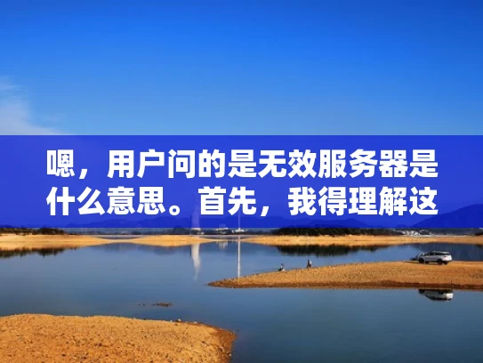 嗯，用户问的是无效服务器是什么意思。首先，我得理解这个词的常见用法。可能是在网络或服务器管理中提到的。用户可能是刚开始接触这方面，或者遇到了相关问题，想弄清楚这个术语的具体含义