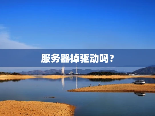 服务器掉驱动吗？