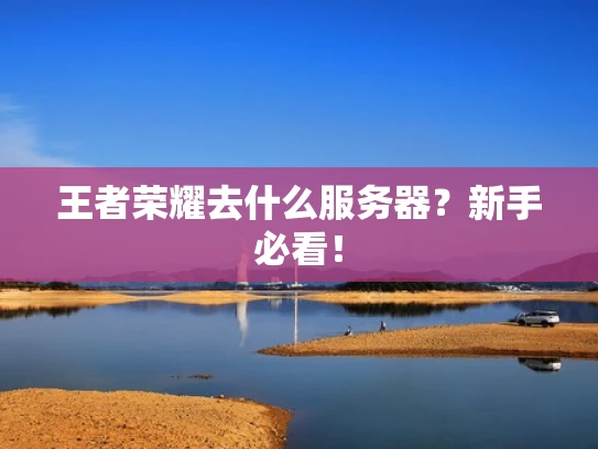 王者荣耀去什么服务器？新手必看！