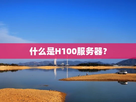什么是H100服务器？