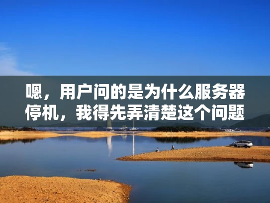 嗯，用户问的是为什么服务器停机，我得先弄清楚这个问题。服务器停机可能有很多原因，用户可能不太了解具体的情况，或者他们可能遇到了问题，想了解可能的原因和解决方法