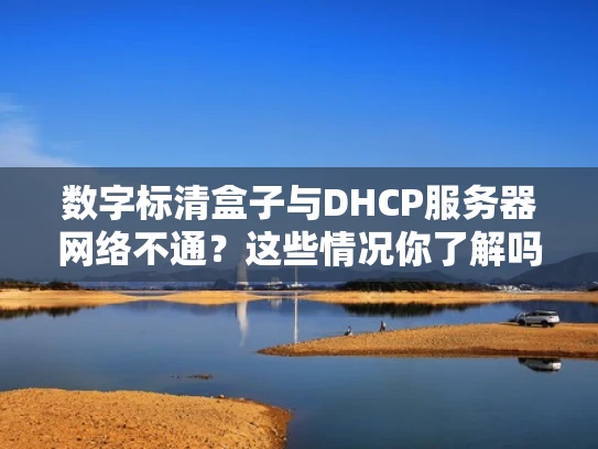 数字标清盒子与DHCP服务器网络不通？这些情况你了解吗？