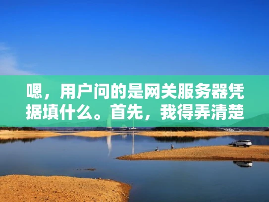 嗯，用户问的是网关服务器凭据填什么。首先，我得弄清楚他具体指的是什么。网关服务器凭据，可能是指访问网关时需要的认证信息，比如用户名和密码。或者是某种特定配置中的凭据，比如SSL证书或者API访问凭证