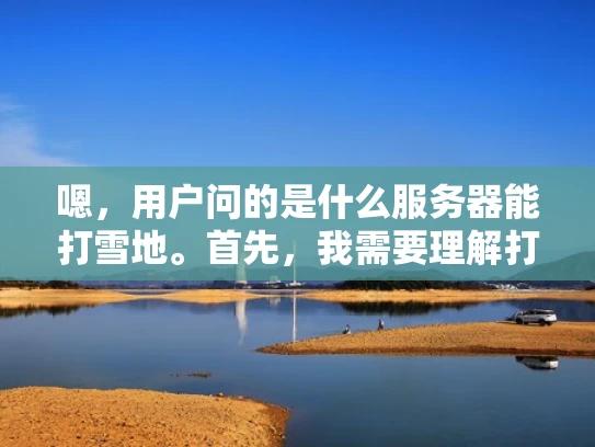 嗯，用户问的是什么服务器能打雪地。首先，我需要理解打雪地是什么意思。可能是指在寒冷的天气里能保持稳定运行的服务器，也就是雪地服务器。那用户可能是在寻找在极端天气下依然能正常工作的服务器配置