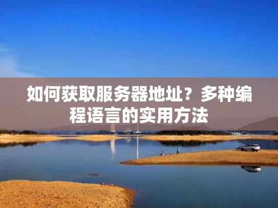 如何获取服务器地址？多种编程语言的实用方法