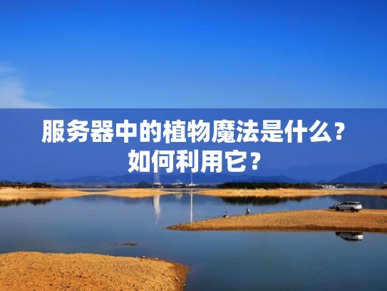 服务器中的植物魔法是什么？如何利用它？