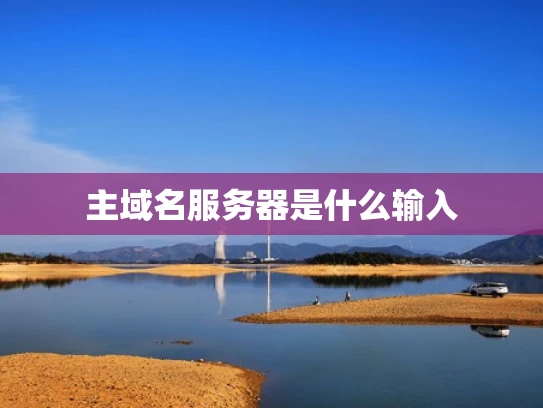主域名服务器是什么输入
