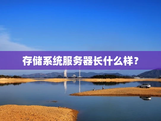 存储系统服务器长什么样？