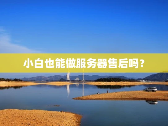 小白也能做服务器售后吗？