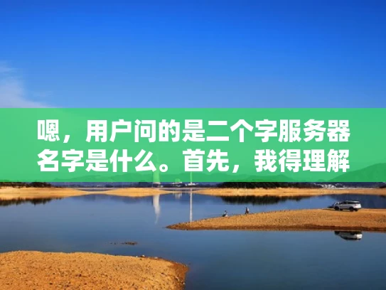 嗯，用户问的是二个字服务器名字是什么。首先，我得理解用户的问题。看起来用户可能在寻找一个合适的服务器名字，可能是在规划网站的时候，需要一个有意义且容易记住的域名