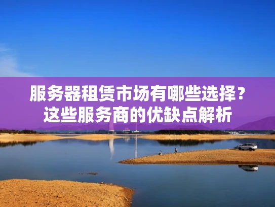 服务器租赁市场有哪些选择？这些服务商的优缺点解析