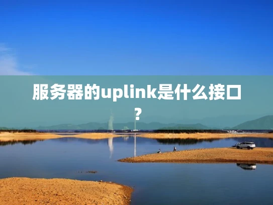 服务器的uplink是什么接口？