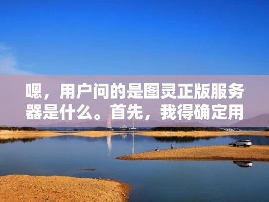 嗯，用户问的是图灵正版服务器是什么。首先，我得确定用户的需求是什么。他们可能是在寻找服务器服务，或者对服务器的正版性有疑问。我应该先解释什么是正版服务器，然后结合图灵服务器的特点来说明