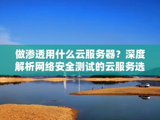 做渗透用什么云服务器？深度解析网络安全测试的云服务选择