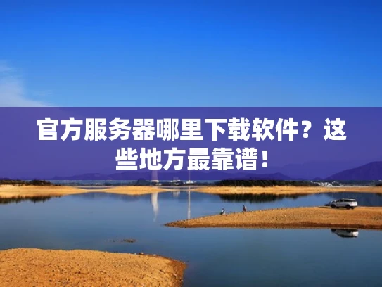 官方服务器哪里下载软件？这些地方最靠谱！