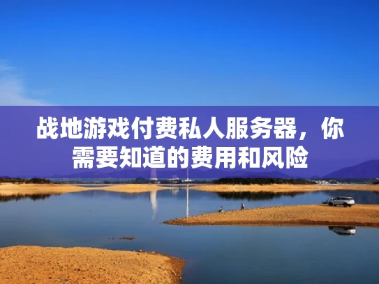 战地游戏付费私人服务器，你需要知道的费用和风险