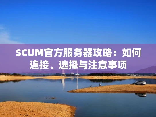 SCUM官方服务器攻略：如何连接、选择与注意事项