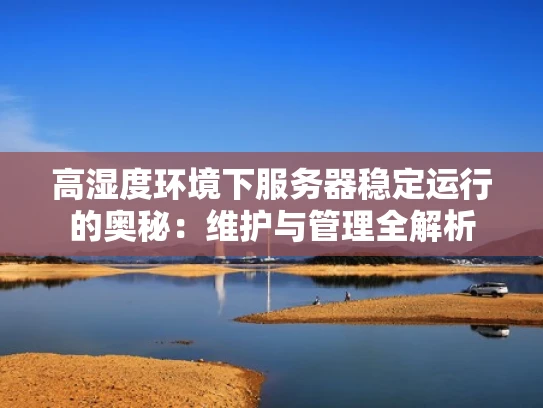 高湿度环境下服务器稳定运行的奥秘：维护与管理全解析