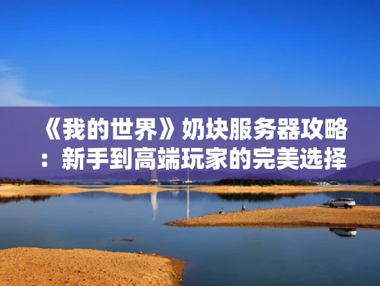《我的世界》奶块服务器攻略：新手到高端玩家的完美选择