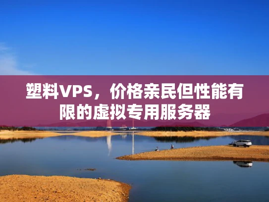 塑料VPS，价格亲民但性能有限的虚拟专用服务器