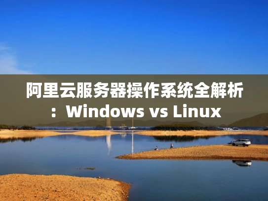 阿里云服务器操作系统全解析：Windows vs Linux